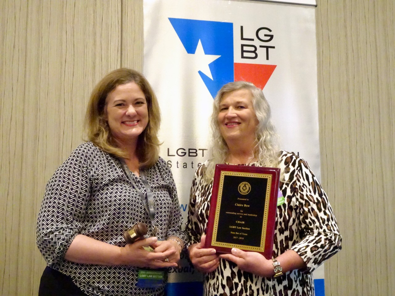 2018-2019 Chair Nicole T. LeBoeuf and 2017-2018 Chair Claire M. Bow